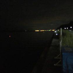 ミッドナイトワインド