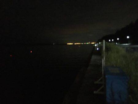 ミッドナイトワインド