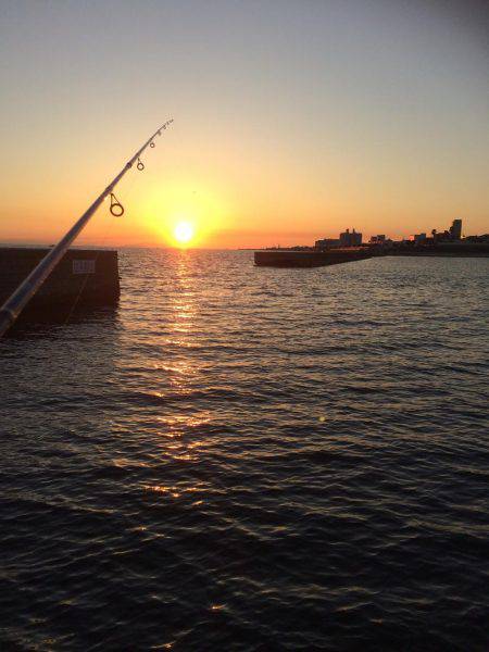 夕まずめエギング