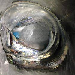 ハマチはバラシ