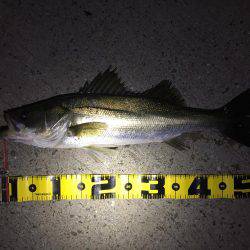 秋のハイシーズン！