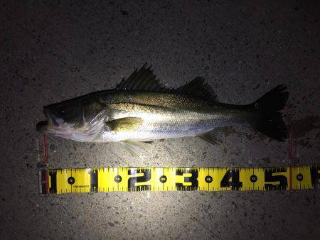 秋のハイシーズン！