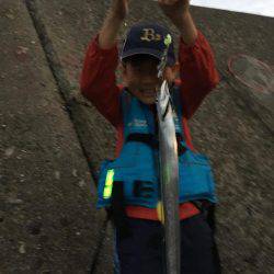 岸和田の旧一文字