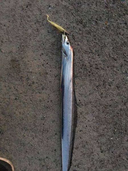 4ヒット1キャッチ う〜〜ん。