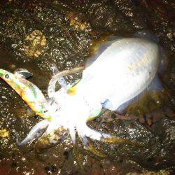 潮止まりで撤収!