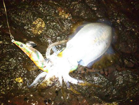 潮止まりで撤収!