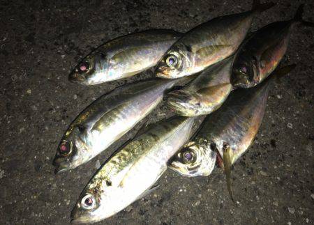 アタリのない時間をだいぶ過ごしてから、よう…