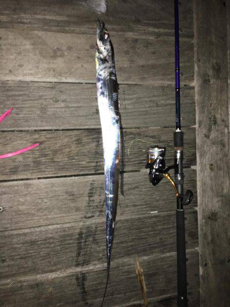 コスモスクエア〜手元でガツン！