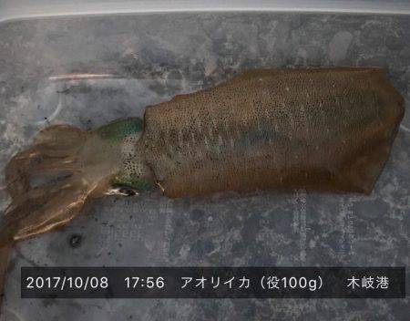 アオリイカ沖漬け