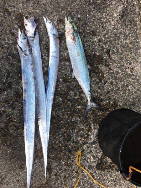 10ヒット8キャッチ まあまあかな。