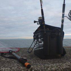 岸和田一文字 タチウオ・青物リベンジ