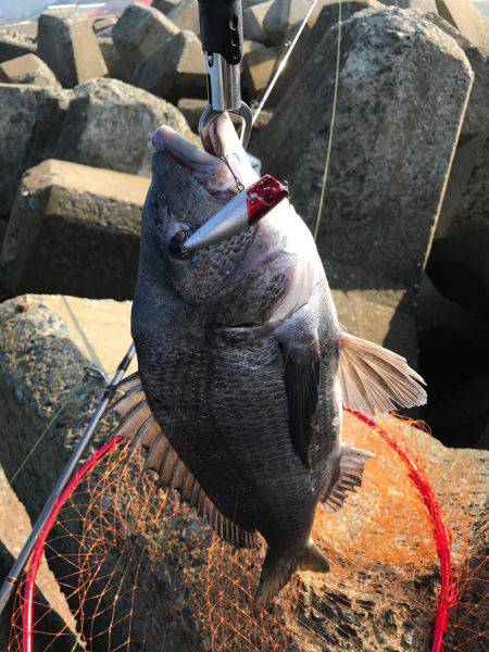 ポッパーでバコッ