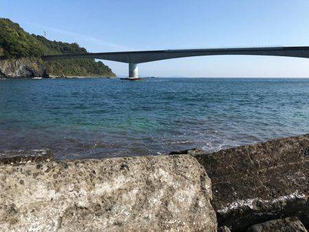 良型シロギスが消えた。。。