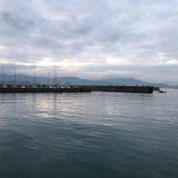 水温下がり過ぎ