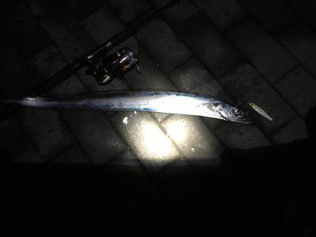 楽しい太刀魚釣り