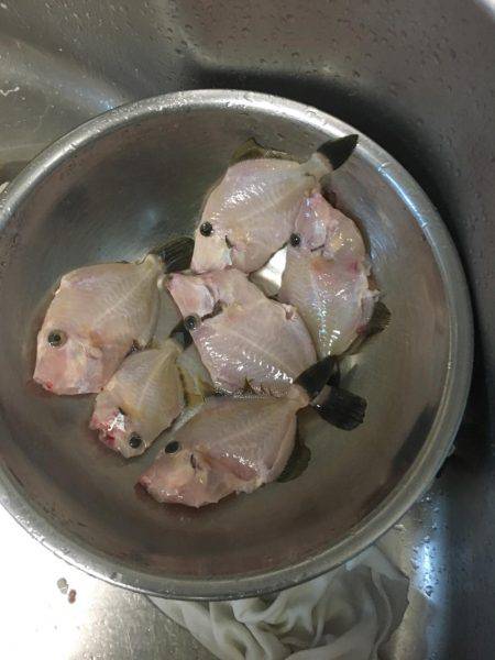 家族でカワハギング