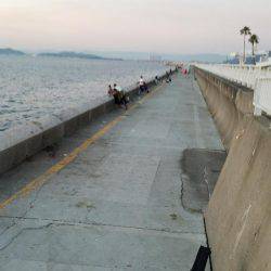 久しぶりのハゲ