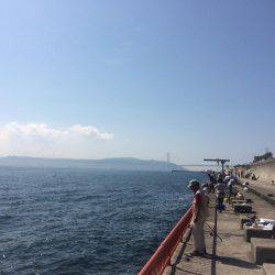 激流攻略の足掛かりの1枚