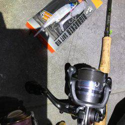 タチウオ   ワインド