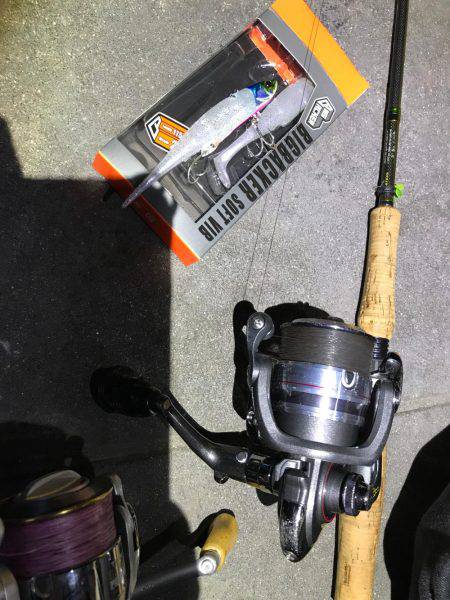 タチウオ   ワインド