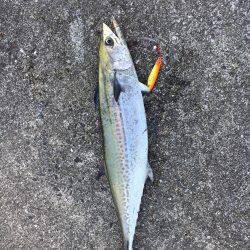 めっちゃ悔しい