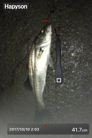 月明かりと潮動かず厳しかった