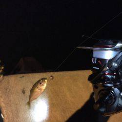 5目釣り@日本海