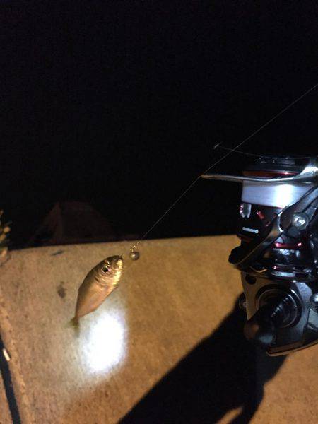 5目釣り@日本海