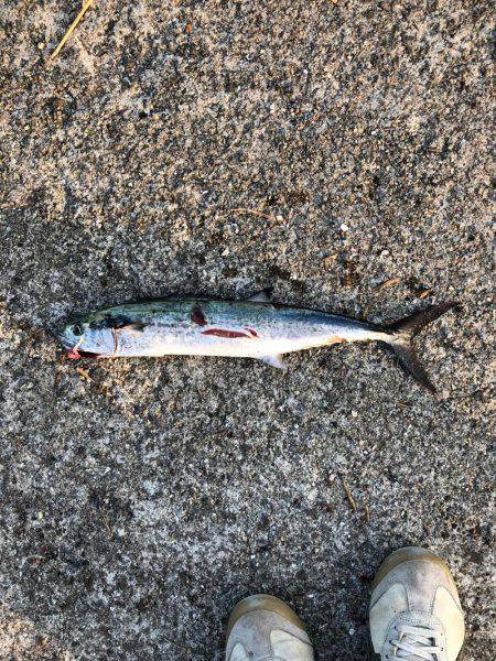 武庫一にて朝練