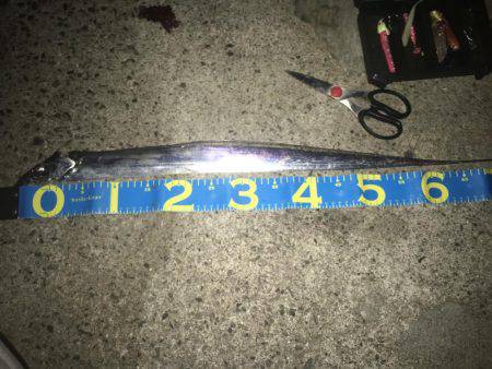 ただ巻きワインド