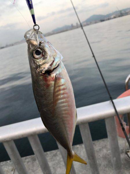 連チャンポーズからの中アジ♫