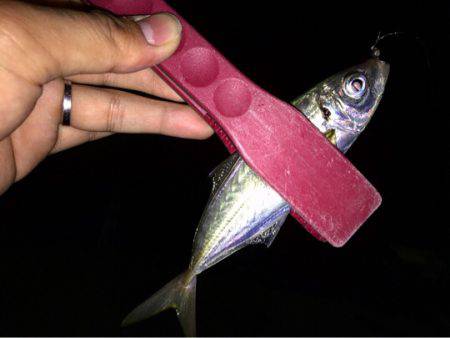 練習練習、ランガンアジング