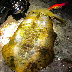 リベンジ果たせず…