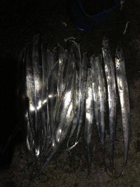 タチウオ釣り。