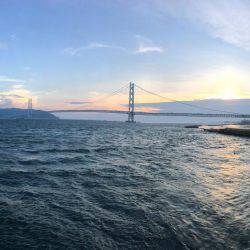 エギングIn淡路島