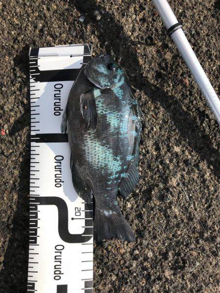 うねり高くて洗濯機