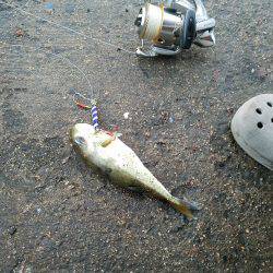 まさかの･･･