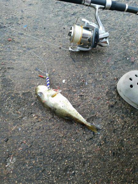 まさかの･･･