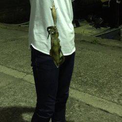 嬉しさの後の悲劇、、、