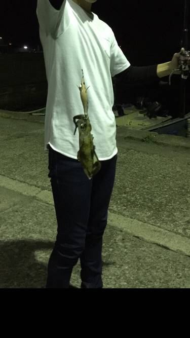 嬉しさの後の悲劇、、、