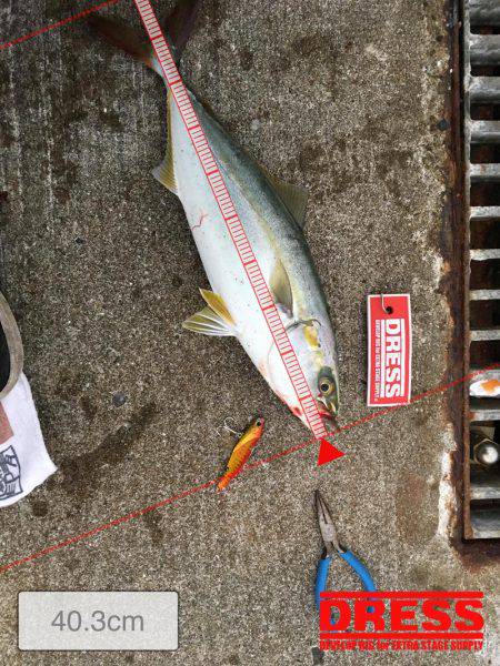 小雨の中 初のツバス×2