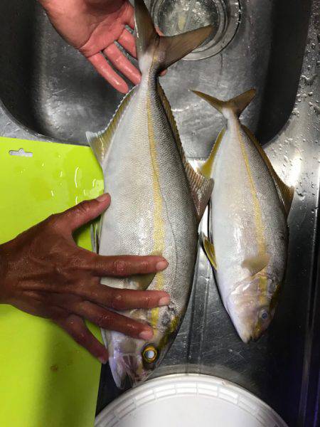 宿毛市 新港にて6時から10時まで