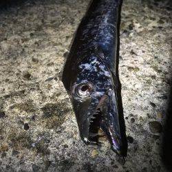 もうちょっと釣りたかったな