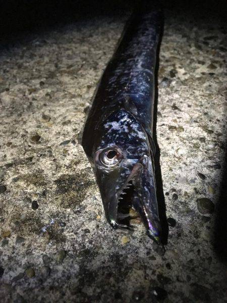 もうちょっと釣りたかったな