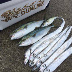 朝まづめショアジギング