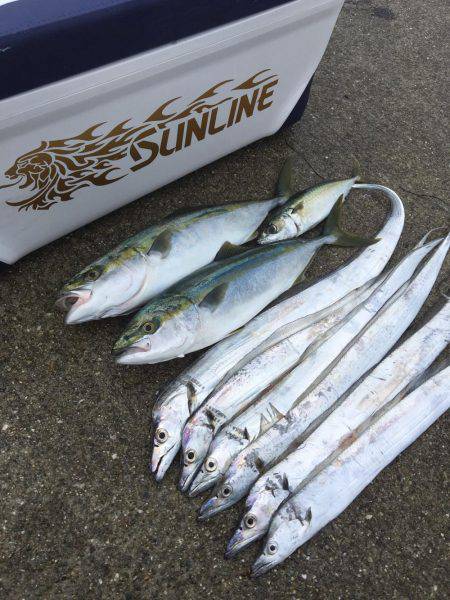 朝まづめショアジギング