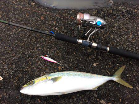 ショアジギング