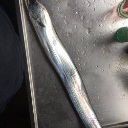 釣れると、思ったのに！