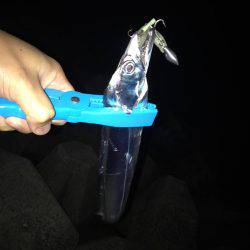 仕事帰りにワインド