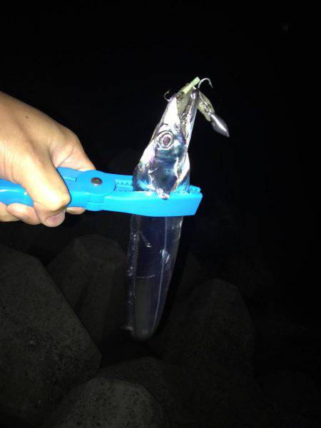 仕事帰りにワインド